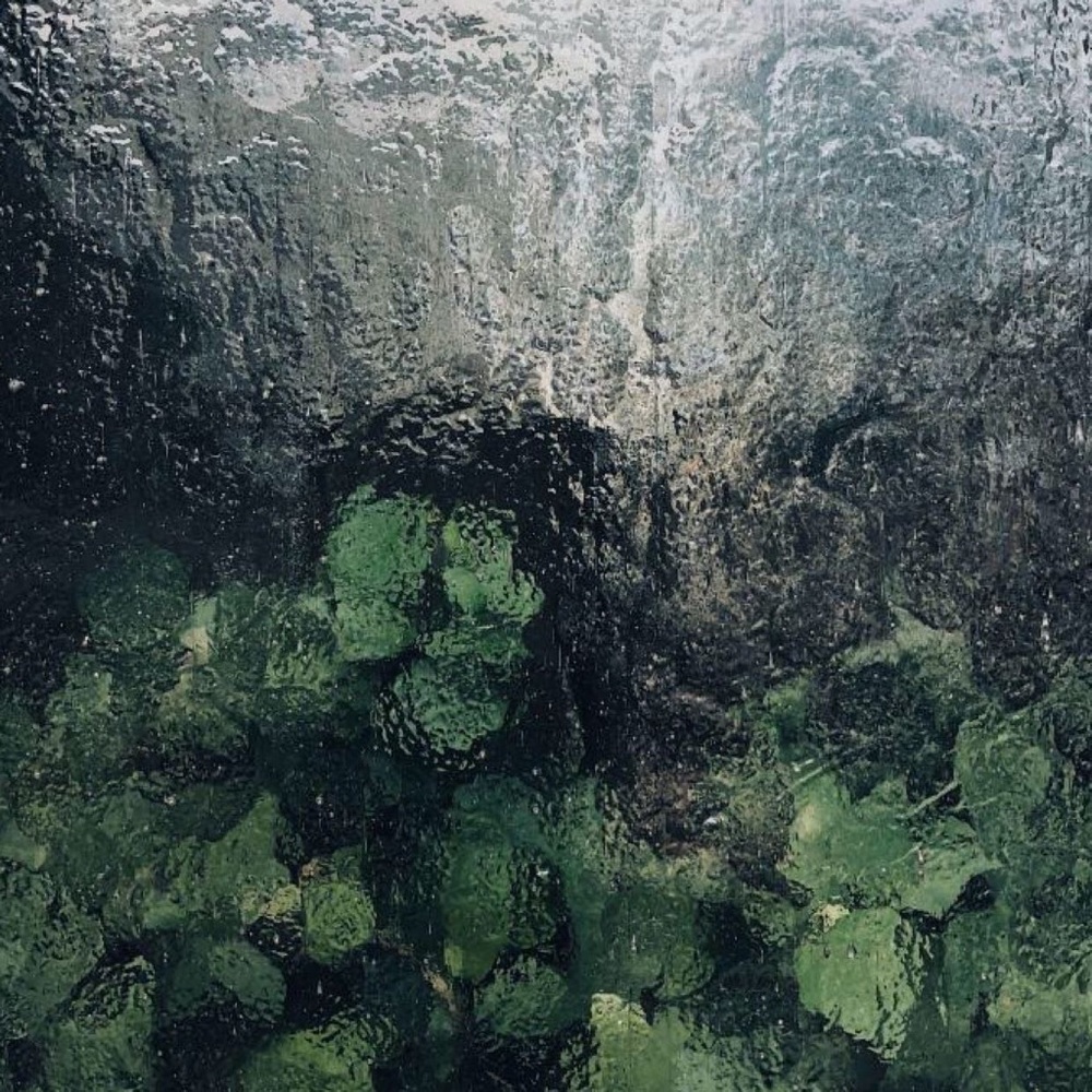 Meet your Posher, Ethan